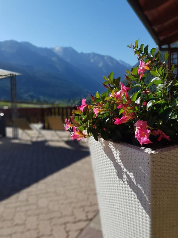 Hotel Veduta Dell'Adamello Temù Extérieur photo
